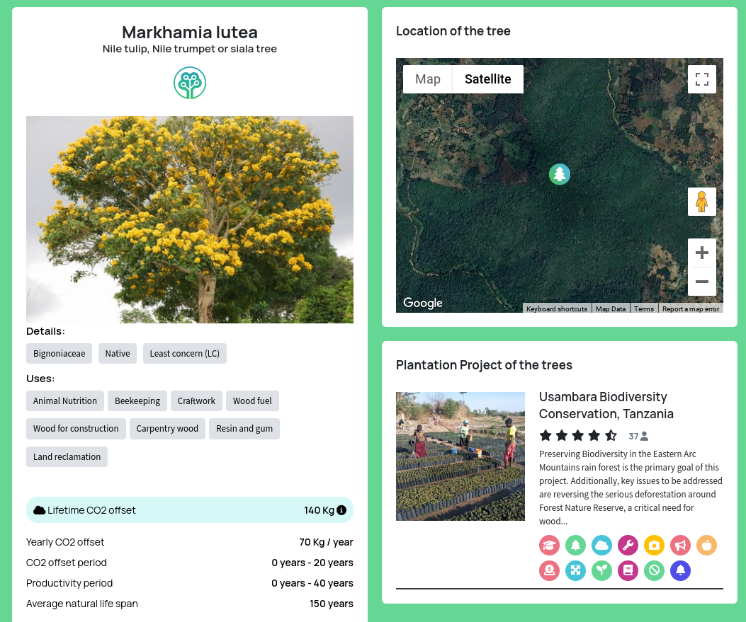 One screenshot showing that the planted tree was a Markahamia lutea, in a Tanzanian plantation.