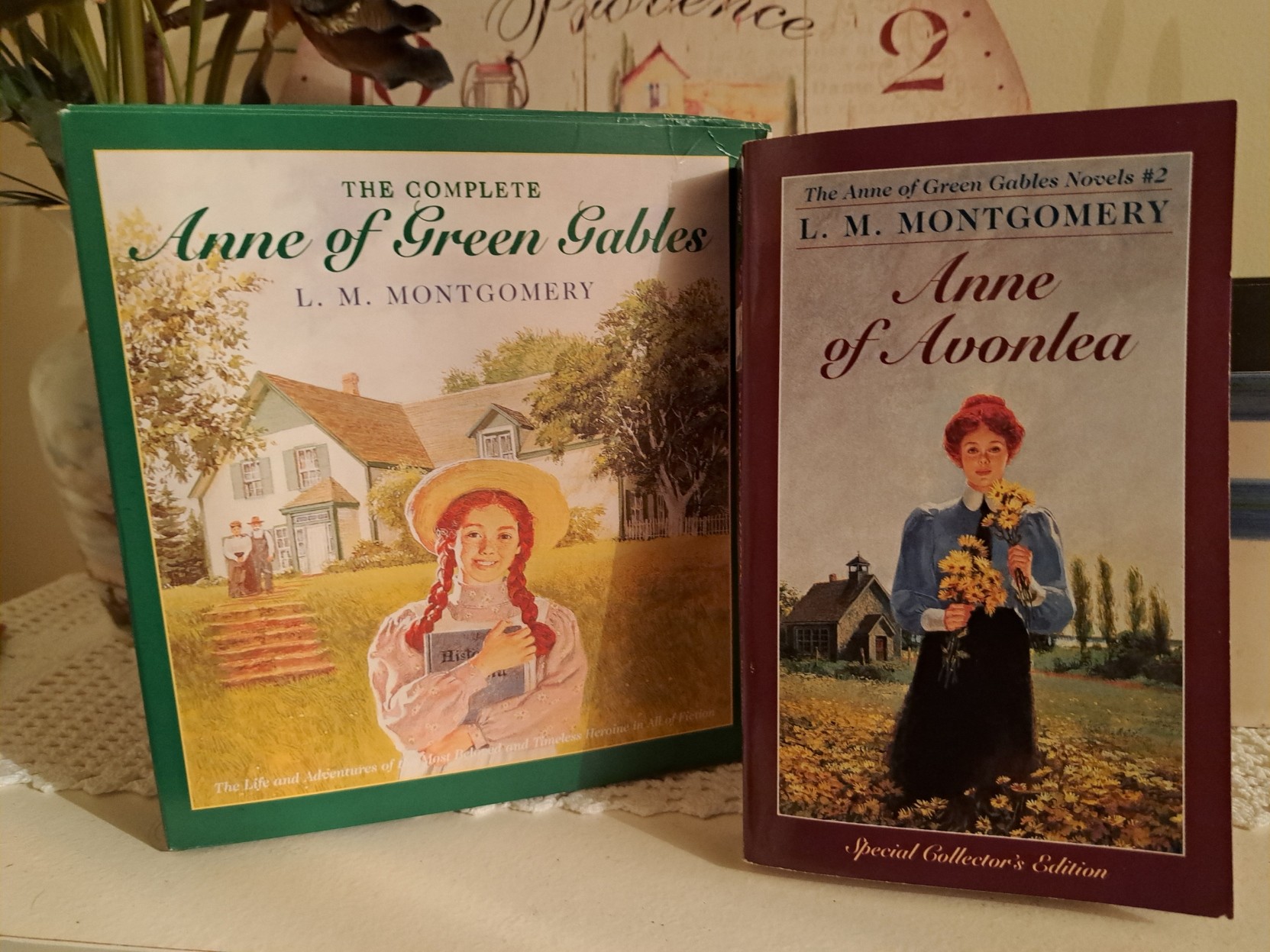 A picture of "Anne of Avonlea", the second book of the "Anne of Green Gables" book series, slightly in front od the eight books boxset it belongs to